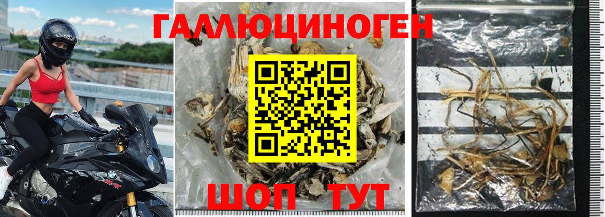 Галлюциногенные грибы Magic Shrooms Борзя