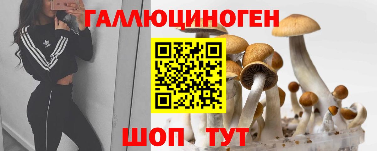 Борзя  Галлюциногенные грибы мухоморы  Вход с VPN  Псилоцибиновые грибы ЛСД 